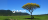 Imagem do banner