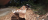 Imagem do banner